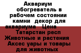Аквариум, обогреватель в рабочем состоянии, камни, декор для аквариума › Цена ­ 850 - Татарстан респ. Животные и растения » Аксесcуары и товары для животных   